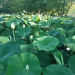 La Rondanina Agroturismo Castelnuovo Fogliani