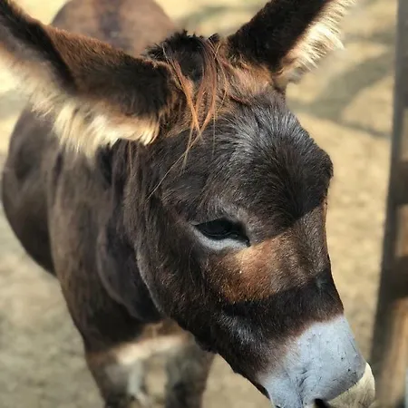 La Rondanina * Castelnuovo Fogliani