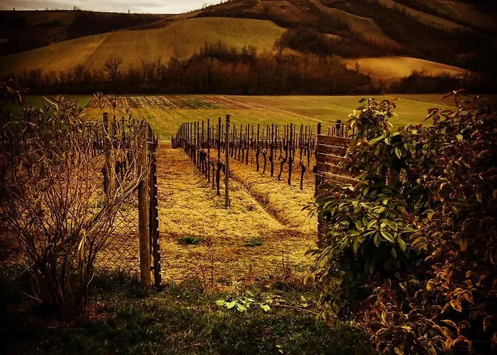 La Rondanina * Castelnuovo Fogliani